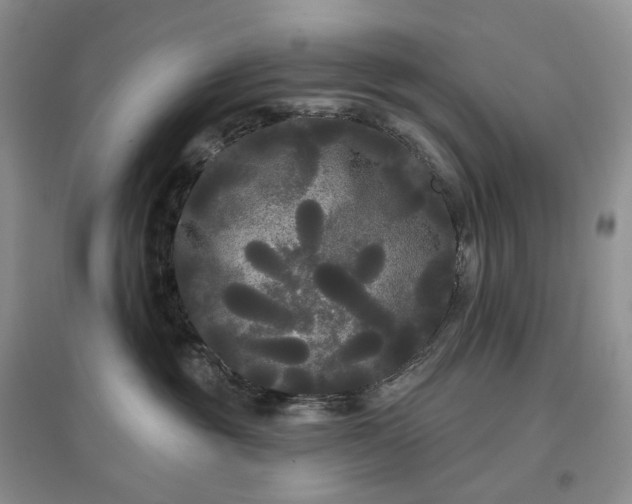 X0000097630381200803071536