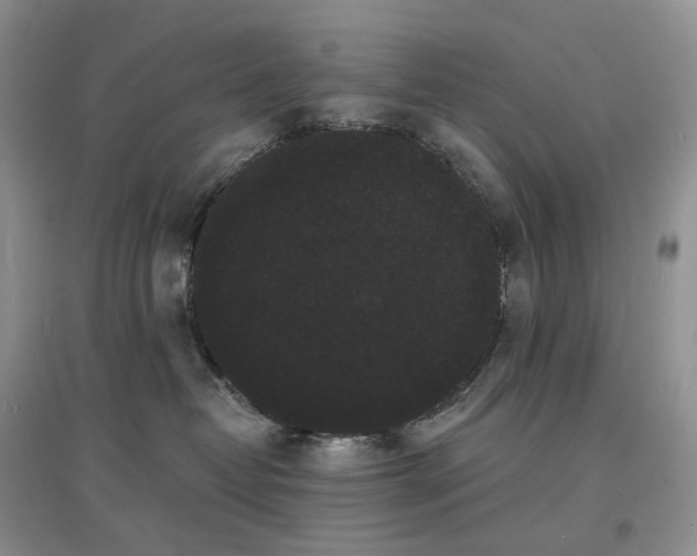 X0000097630382200803071536