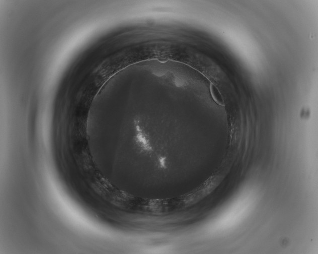 X0000097630383200803071536