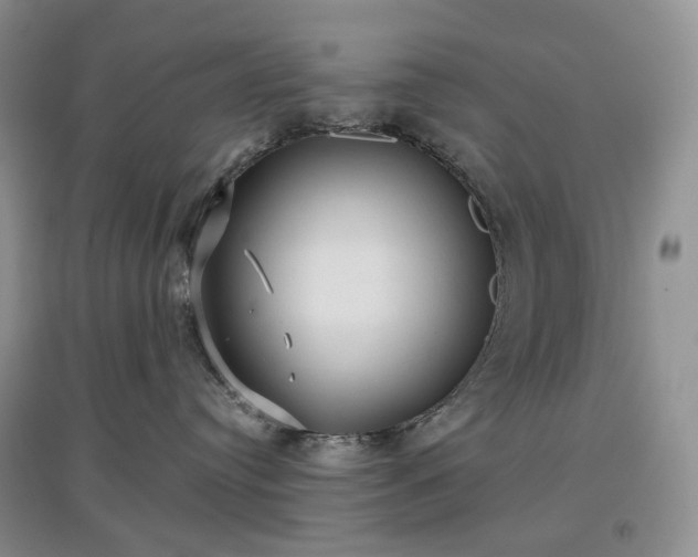 X0000097630384200803071536