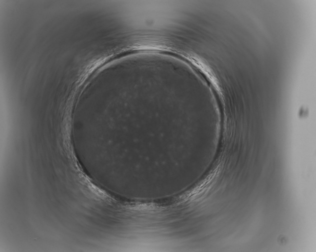 X0000097630385200803071535