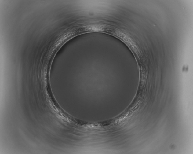 X0000097630386200803071535