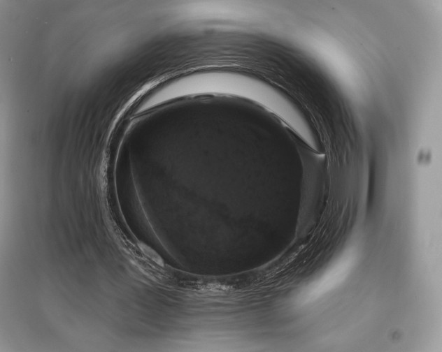 X0000097630387200803071535