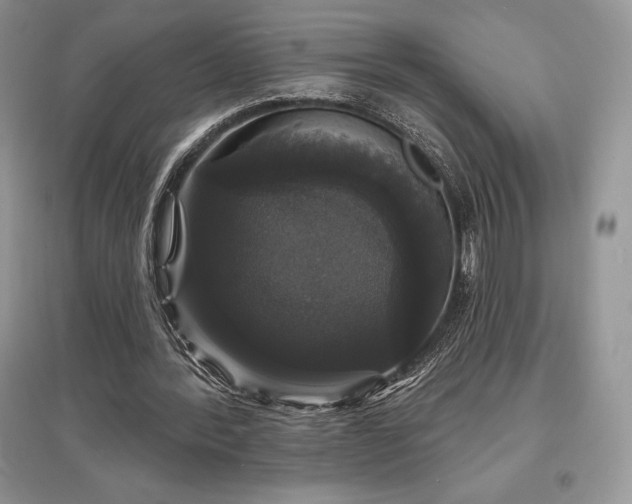 X0000097630388200803071535