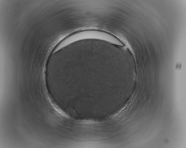 X0000097630389200803071535