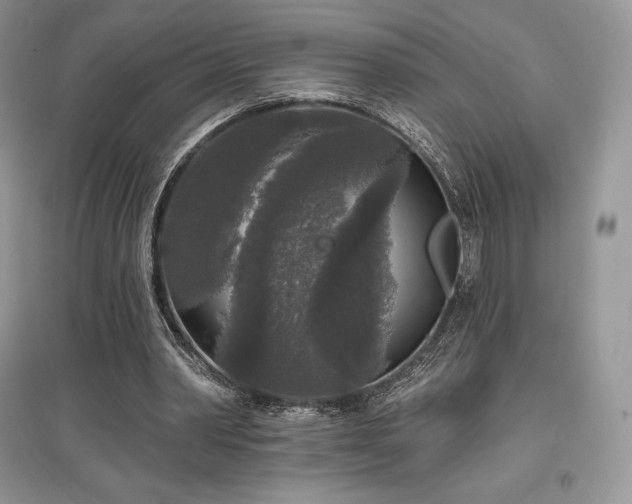 X0000097630390200803071535