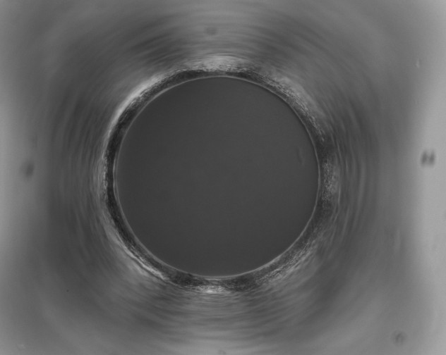 X0000097630392200803071535