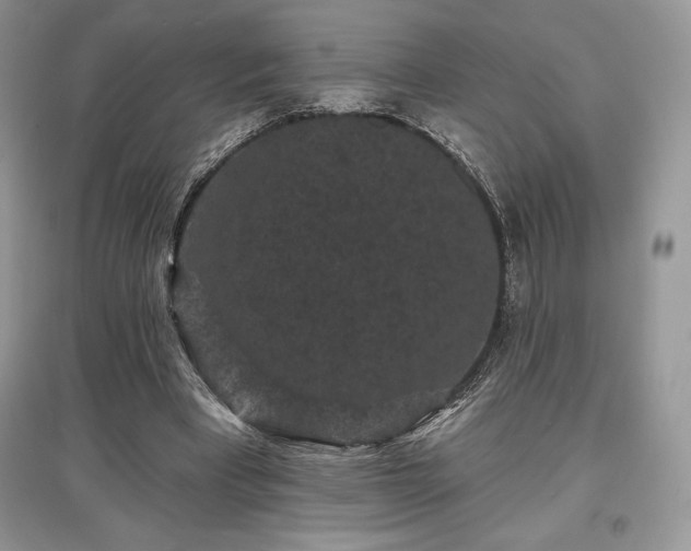 X0000097630393200803071535