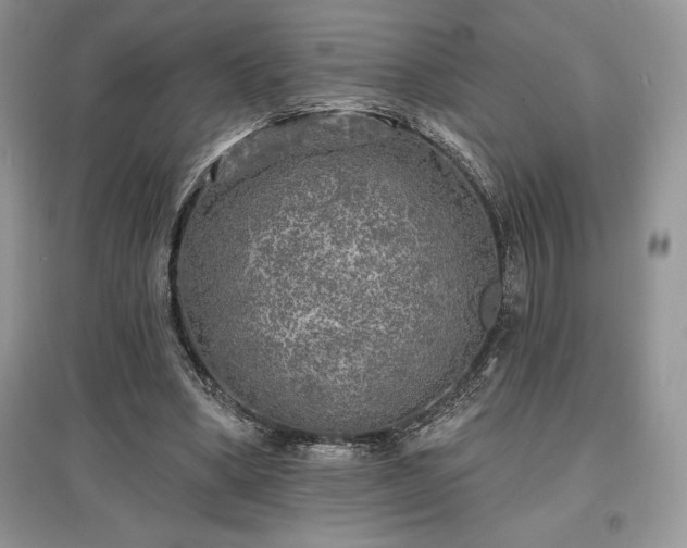 X0000097630394200803071535