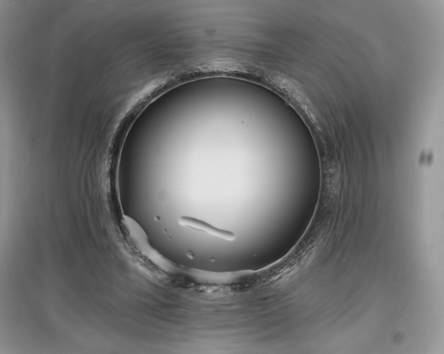 X0000097630395200803071535