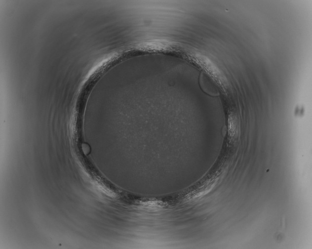 X0000097630396200803071535