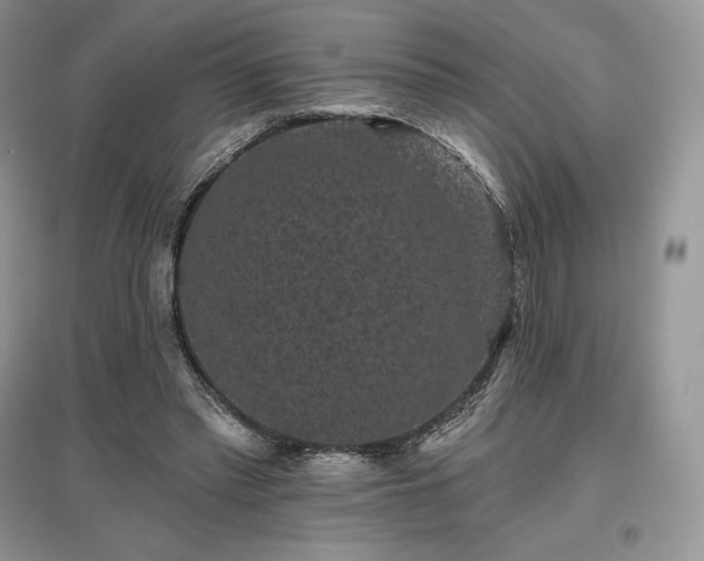 X0000097630397200803071535