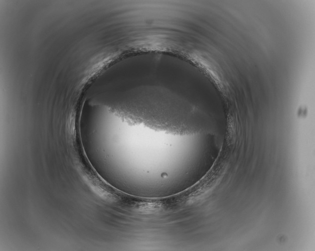 X0000097630398200803071535