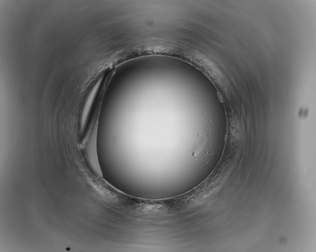 X0000097630401200803071535