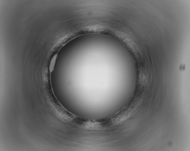 X0000097630403200803071535