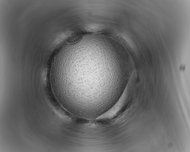 X0000097630404200803071535