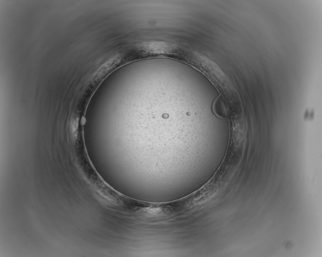 X0000097630406200803071535