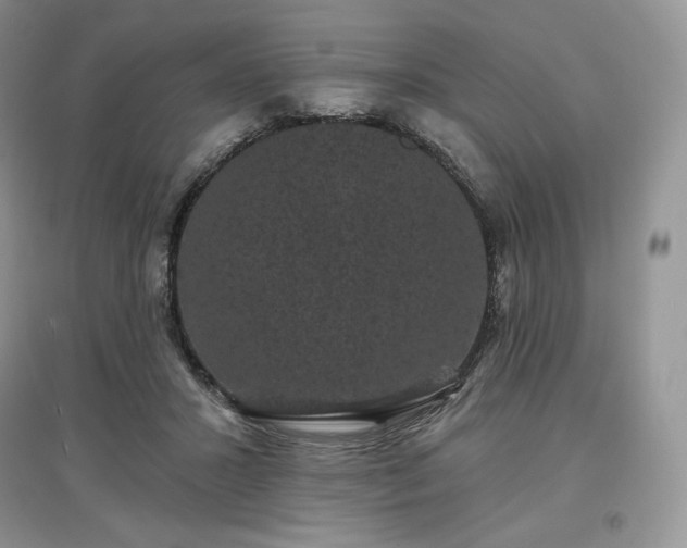 X0000097630407200803071535