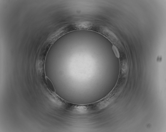 X0000097630409200803071535