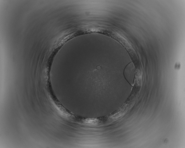 X0000097630410200803071535