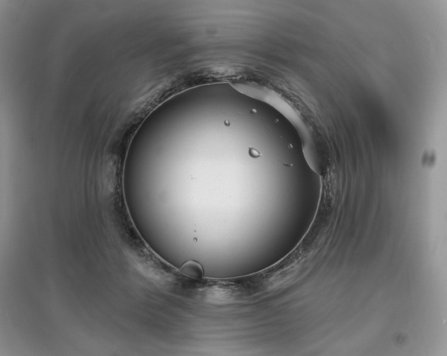 X0000097630412200803071535