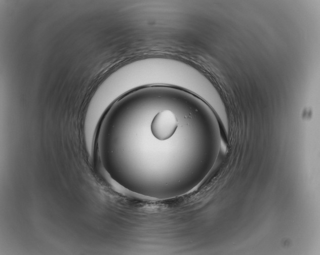 X0000097630415200803071535