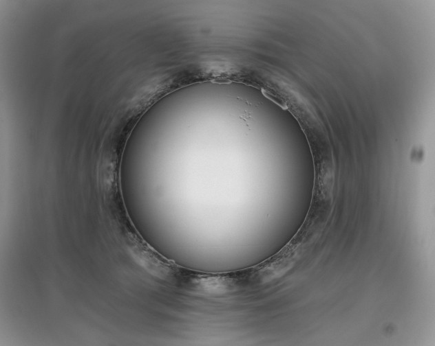 X0000097630417200803071535