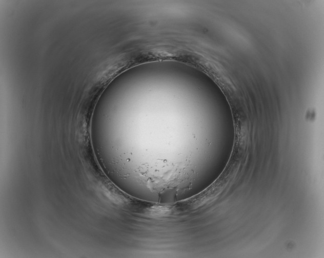 X0000097630418200803071535