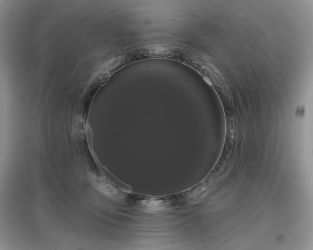 X0000097630419200803071535