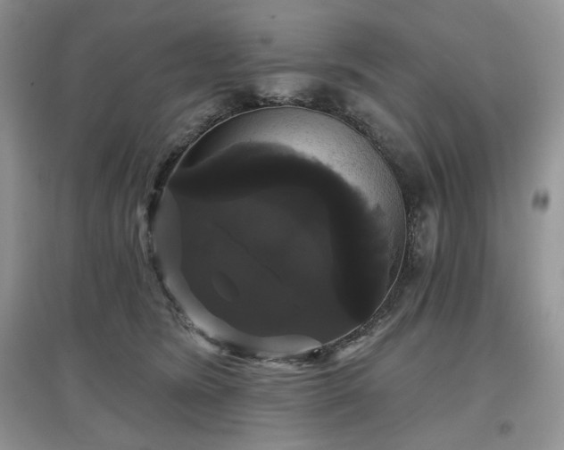 X0000097630420200803071535