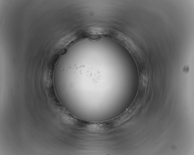 X0000097630422200803071535