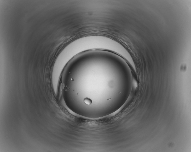 X0000097630423200803071535