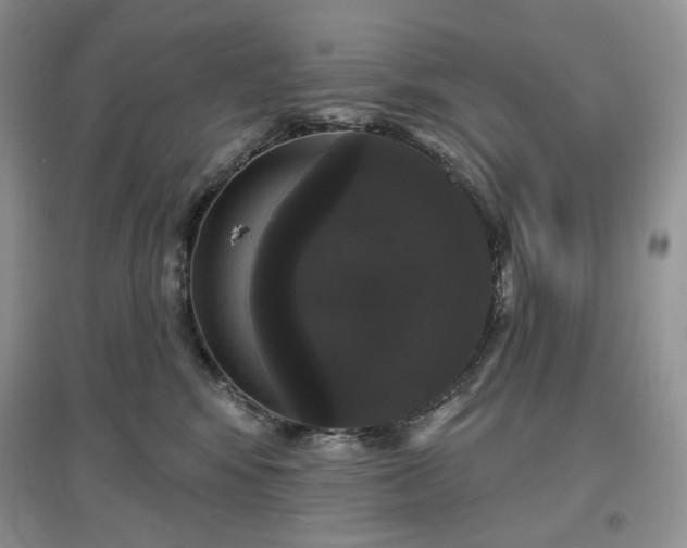 X0000097630424200803071535