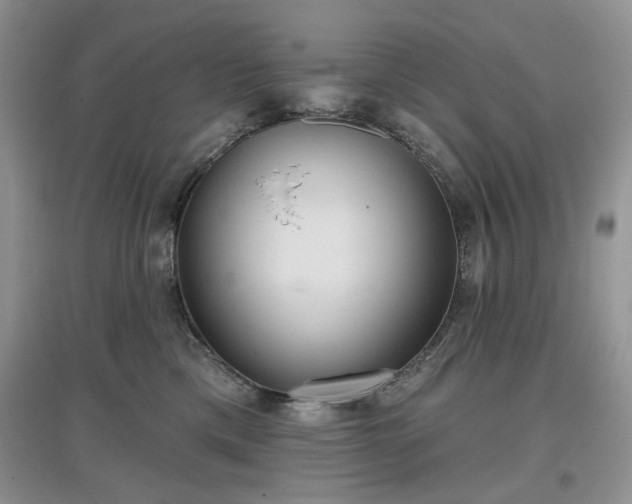 X0000097630425200803071535