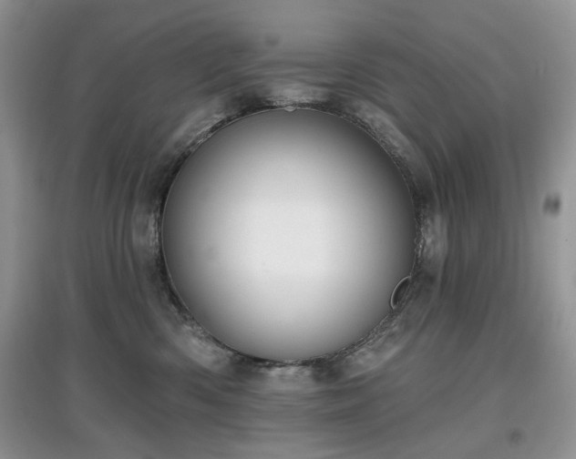 X0000097630426200803071535