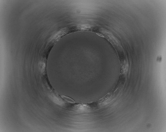 X0000097630427200803071535