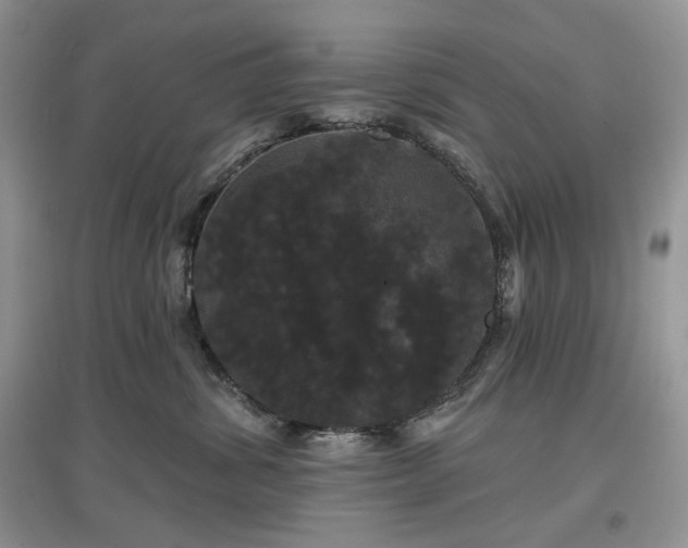 X0000097630428200803071535