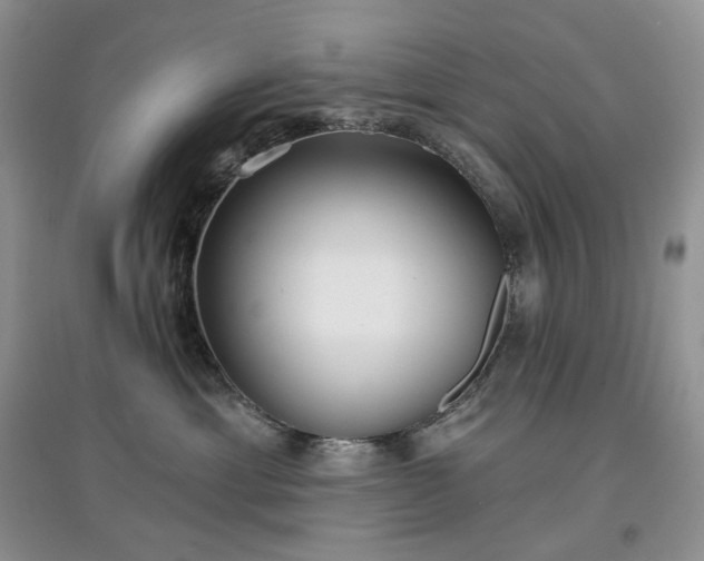 X0000097630429200803071535