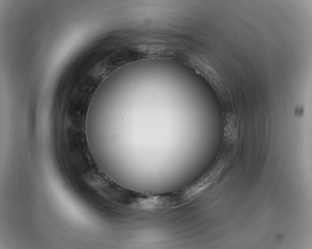 X0000097630430200803071535