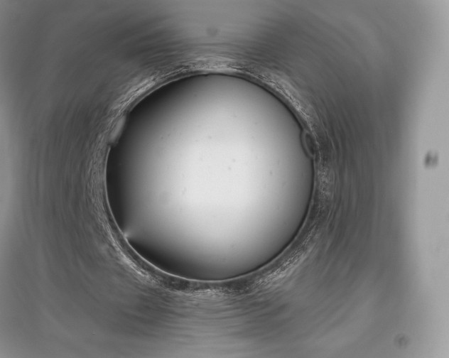 X0000097630433200803071534