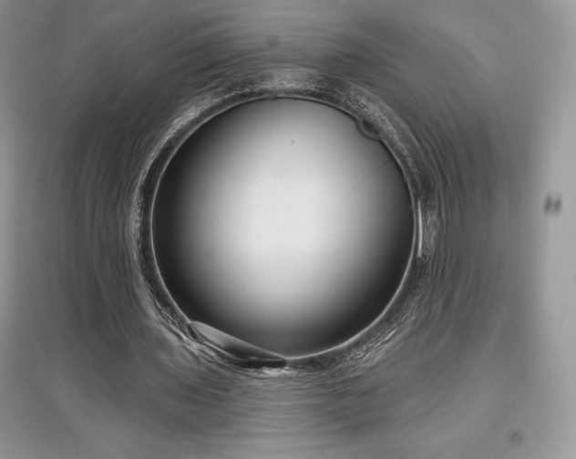 X0000097630435200803071534