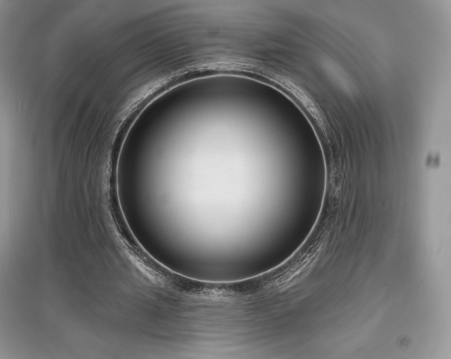 X0000097630437200803071534