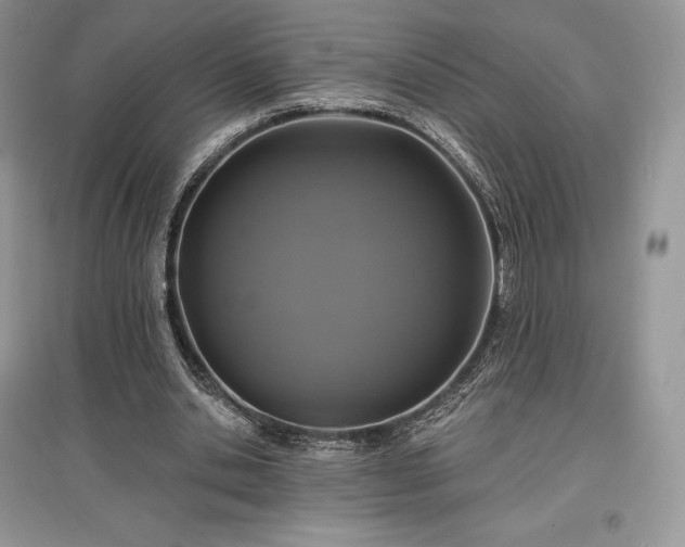 X0000097630438200803071534