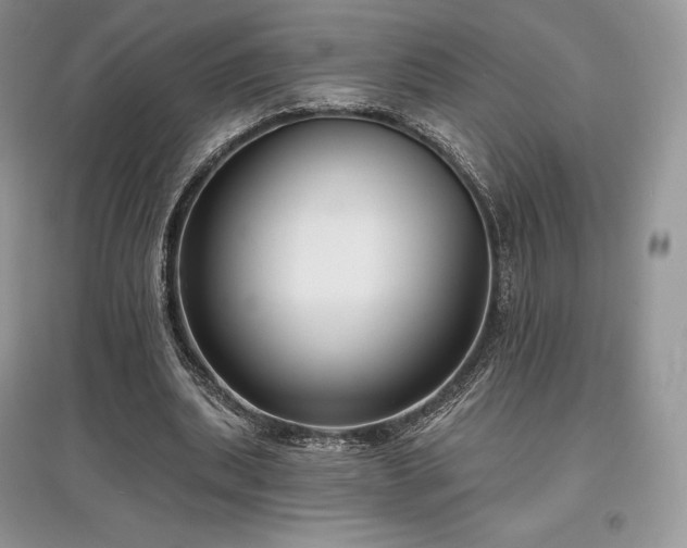 X0000097630439200803071534