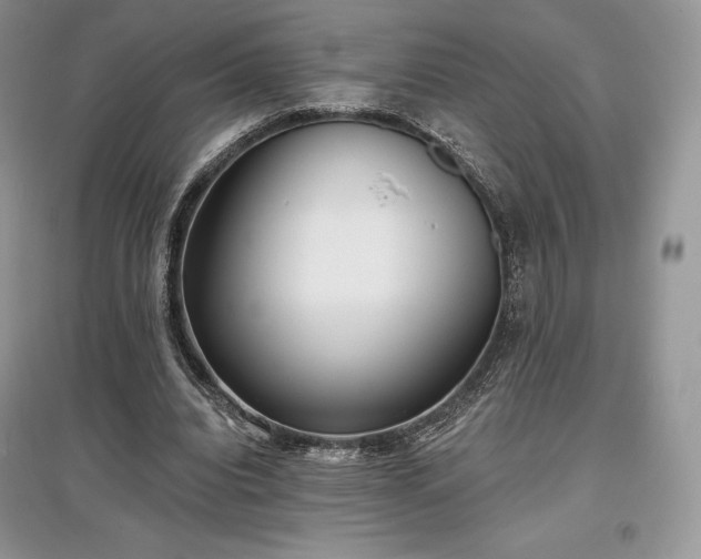 X0000097630440200803071534