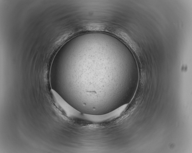 X0000097630441200803071534