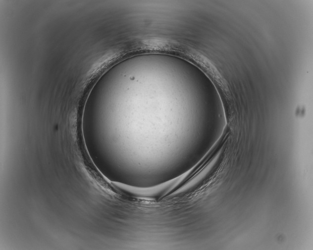 X0000097630442200803071534