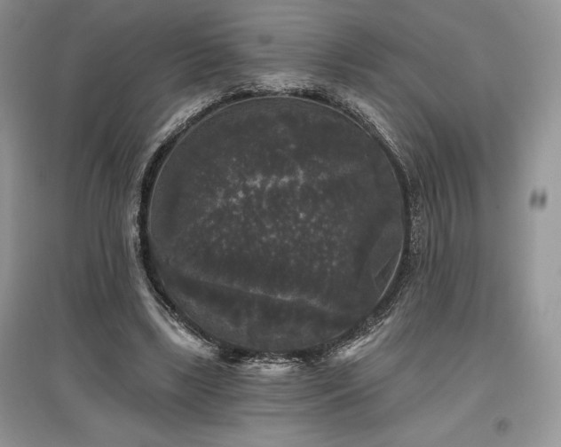 X0000097630443200803071534