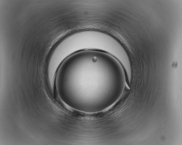 X0000097630444200803071534