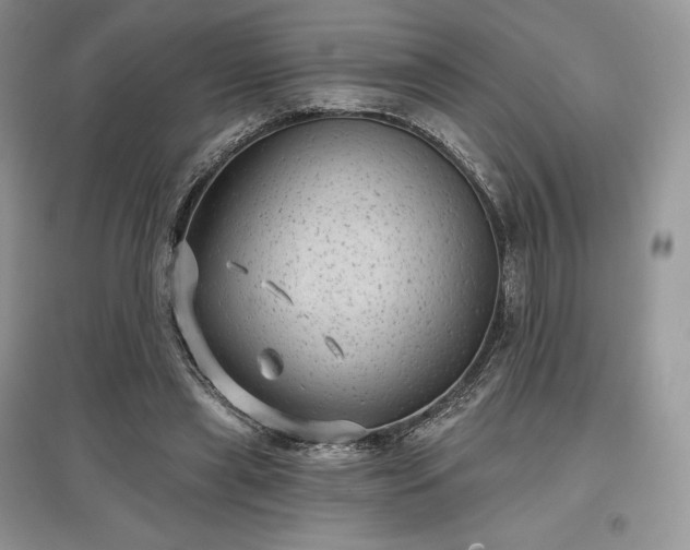 X0000097630445200803071534